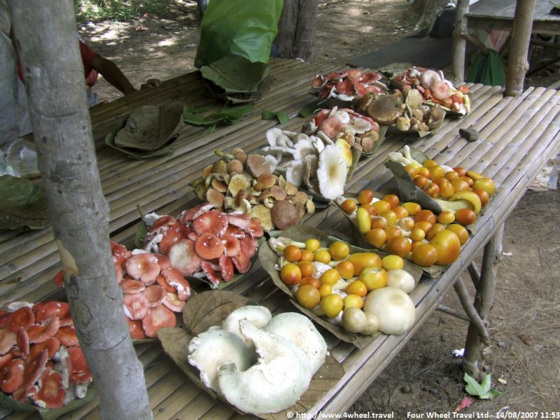 4x4Reisen Expedition, Expeditionstourismus, FAMILIENTOUR Entspannung, Spass und ein Hauch von Abenteuer fuer die ganze Familie , 4x4 Offroad Adventure Geländewagenreisen und Geländewagentouren in Südostasien, Abenteuer in Asien, Thailand, Laos, Kambodscha für Selbstfaher von Berlin nach Bangkok 1756696521  4x4 Thailand 4x4 Südostasien 4x4 Indochina 4x4 Laos 4x4 Kambodscha 4x4 Myanmar 