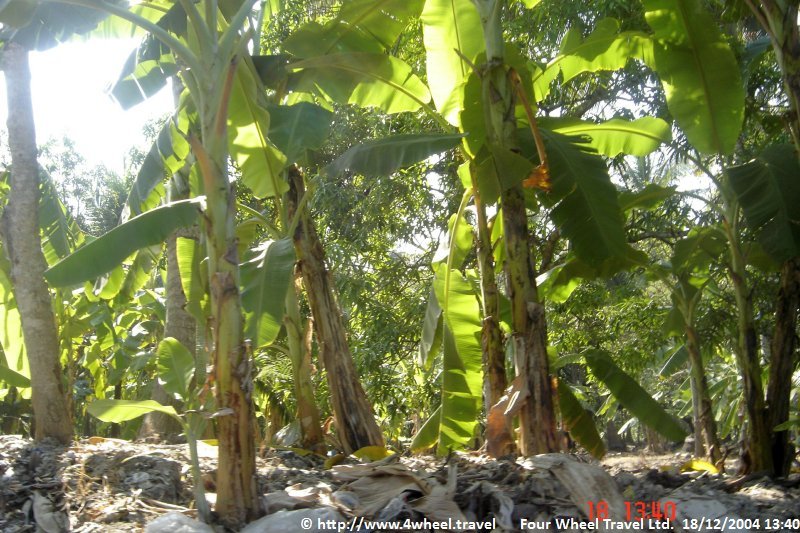 4x4Reisen Expedition, Expeditionstourismus, Flexible private Expeditionsreise Jeep Safari in Indochina unter dem Motto Immer der Nase nach , 4x4 Offroad Adventure Geländewagenreisen und Geländewagentouren in Südostasien, Abenteuer in Asien, Thailand, Laos, Kambodscha für Selbstfaher von Berlin nach Bangkok 1764965196  4x4 Thailand 4x4 Südostasien 4x4 Indochina 4x4 Laos 4x4 Kambodscha 4x4 Myanmar 