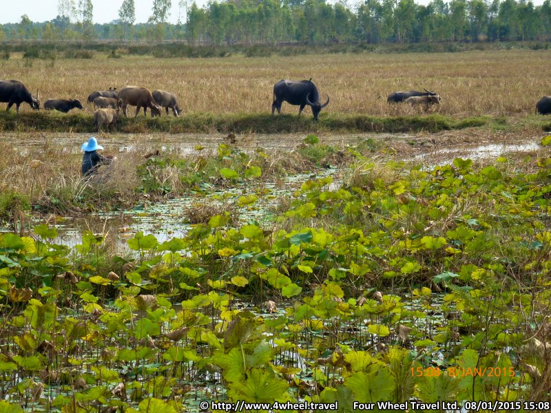 4x4Reisen Expedition, Expeditionstourismus, Flexible private Expeditionsreise Jeep Safari in Indochina unter dem Motto Immer der Nase nach Autorundreisen Suedostasien , 4x4 Offroad Adventure Geländewagenreisen und Geländewagentouren in Südostasien, Abenteuer in Asien, Thailand, Laos, Kambodscha für Selbstfaher von Berlin nach Bangkok 1762748786  4x4 Thailand 4x4 Südostasien 4x4 Indochina 4x4 Laos 4x4 Kambodscha 4x4 Myanmar 