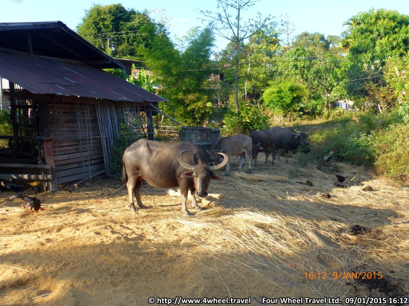4x4Reisen Expedition, Expeditionstourismus, Flexible private Expeditionsreise Jeep Safari in Indochina unter dem Motto Immer der Nase nach , 4x4 Offroad Adventure Gel&auml;ndewagenreisen und Gel&auml;ndewagentouren in S&uuml;dostasien, Abenteuer in Asien, Thailand, Laos, Kambodscha f&uuml;r Selbstfaher von Berlin nach Bangkok 1772844224  4x4 Thailand 4x4 S&uuml;dostasien 4x4 Indochina 4x4 Laos 4x4 Kambodscha 4x4 Myanmar 
