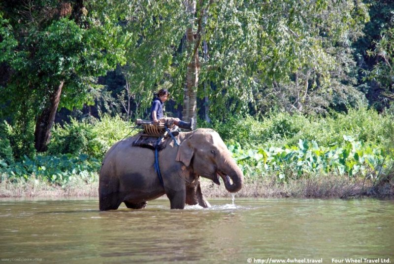 4x4Reisen Expedition, Expeditionstourismus, Nordthailand Kaleidoskop I eine Jeep Safari in 8 Tagen die ein bunten Querschnitt von Thailand zeigt Autorundreisen Suedostasien , 4x4 Offroad Adventure Geländewagenreisen und Geländewagentouren in Südostasien, Abenteuer in Asien, Thailand, Laos, Kambodscha für Selbstfaher von Berlin nach Bangkok 1756954134  Mekong Issan Isan Isaan Reisen Jeep Safari Erwan Reisen Luxus Reisen Privat Reisen 4x4 Reisen Four Wheel Travel  Uwe Richter