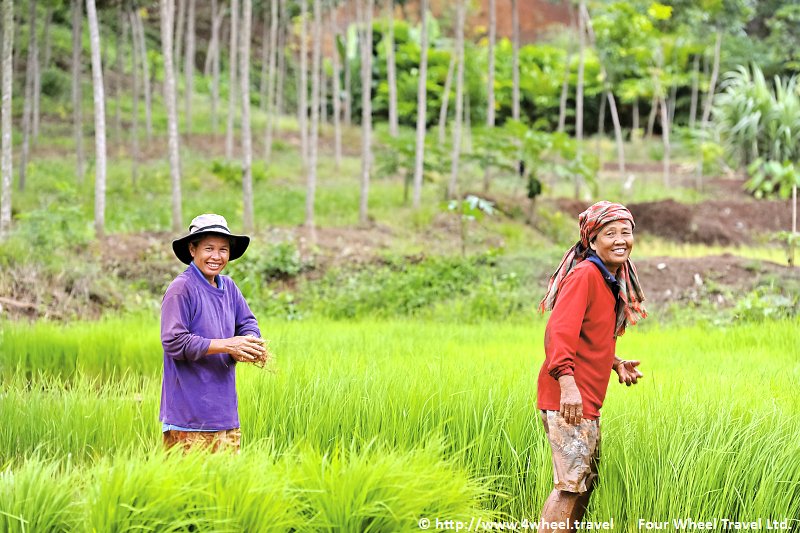 4x4Reisen Expedition, Expeditionstourismus, Das Goldene Dreieck eine 14 Tag private Jeep Safari in den Norden von Thailand Autorundreisen Suedostasien , 4x4 Offroad Adventure Geländewagenreisen und Geländewagentouren in Südostasien, Abenteuer in Asien, Thailand, Laos, Kambodscha für Selbstfaher von Berlin nach Bangkok 1756696516  Mekong Issan Isan Isaan Reisen Jeep Safari Erwan Reisen Luxus Reisen Privat Reisen 4x4 Reisen Four Wheel Travel  Uwe Richter