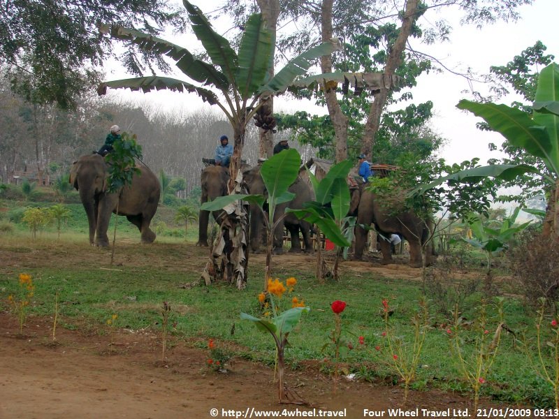 4x4Reisen Expedition, Expeditionstourismus, Erawan III 10 taegige Jeep Safari im Erawan Nationalpark von Thailand , 4x4 Offroad Adventure Geländewagenreisen und Geländewagentouren in Südostasien, Abenteuer in Asien, Thailand, Laos, Kambodscha für Selbstfaher von Berlin nach Bangkok 1756696690  Mekong Issan Isan Isaan Reisen Jeep Safari Erwan Reisen Luxus Reisen Privat Reisen 4x4 Reisen Four Wheel Travel  Uwe Richter
