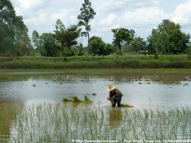 4x4Reisen Expedition, Expeditionstourismus, 4X4 Gelaendewagenrundreise als Expedition in Thailand und Kambodscha Tempel Flussdelphine Palmen Meer und exotische Schoenheiten gibt es zu entdecken , 4x4 Offroad Adventure Geländewagenreisen und Geländewagentouren in Südostasien, Abenteuer in Asien, Thailand, Laos, Kambodscha für Selbstfaher von Berlin nach Bangkok 1764965224  4x4 Thailand 4x4 Südostasien 4x4 Indochina 4x4 Laos 4x4 Kambodscha 4x4 Myanmar 