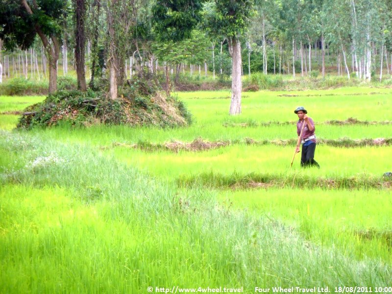 4x4Reisen Expedition, Expeditionstourismus, 4X4 Gelaendewagenrundreise als Expedition in Thailand und Kambodscha Tempel Flussdelphine Palmen Meer und exotische Schoenheiten gibt es zu entdecken , 4x4 Offroad Adventure Geländewagenreisen und Geländewagentouren in Südostasien, Abenteuer in Asien, Thailand, Laos, Kambodscha für Selbstfaher von Berlin nach Bangkok 1762745021  4x4 Thailand 4x4 Südostasien 4x4 Indochina 4x4 Laos 4x4 Kambodscha 4x4 Myanmar 