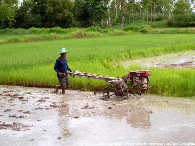 4x4Reisen Expedition, Expeditionstourismus, 4X4 Gelaendewagenrundreise als Expedition in Thailand und Kambodscha Tempel Flussdelphine Palmen Meer und exotische Schoenheiten gibt es zu entdecken , 4x4 Offroad Adventure Geländewagenreisen und Geländewagentouren in Südostasien, Abenteuer in Asien, Thailand, Laos, Kambodscha für Selbstfaher von Berlin nach Bangkok 1764965224  4x4 Thailand 4x4 Südostasien 4x4 Indochina 4x4 Laos 4x4 Kambodscha 4x4 Myanmar 