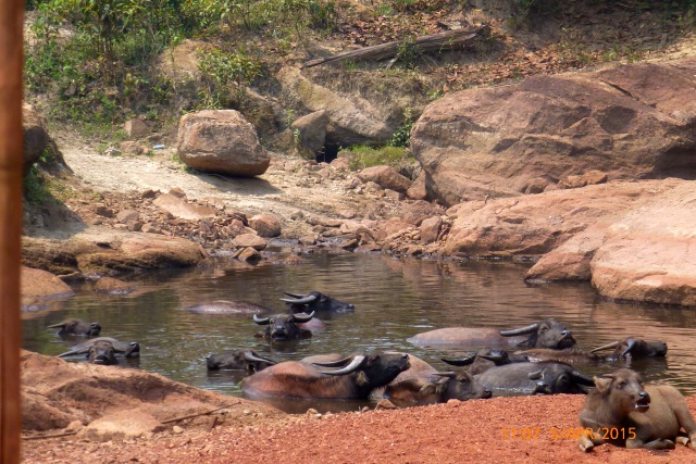 4x4Reisen Expedition, Expeditionstourismus, 7 bis 60 Tage privat gefuehrte 4x4 Rundreise durch Suedostasien (Thailand Kambodscha Laos und mehr) fuer 2 Personen , 4x4 Offroad Adventure Gel&auml;ndewagenreisen und Gel&auml;ndewagentouren in S&uuml;dostasien, Abenteuer in Asien, Thailand, Laos, Kambodscha f&uuml;r Selbstfaher von Berlin nach Bangkok 1780674332  4x4 Thailand 4x4 S&uuml;dostasien 4x4 Indochina 4x4 Laos 4x4 Kambodscha 4x4 Myanmar 