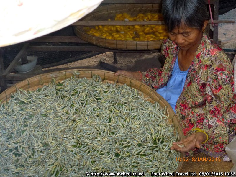 4x4Reisen Expedition, Expeditionstourismus, Jeep Safari durch den Isaan entlang dem Mekong Autorundreisen Suedostasien , 4x4 Offroad Adventure Geländewagenreisen und Geländewagentouren in Südostasien, Abenteuer in Asien, Thailand, Laos, Kambodscha für Selbstfaher von Berlin nach Bangkok 1764961272  Mekong Issan Isan Isaan Reisen Jeep Safari Thailand Jeep Safari Isan Reisen Erwan Reisen Luxus Reisen Privat Reisen 4x4 Reisen Four Wheel Travel  Uwe Richter