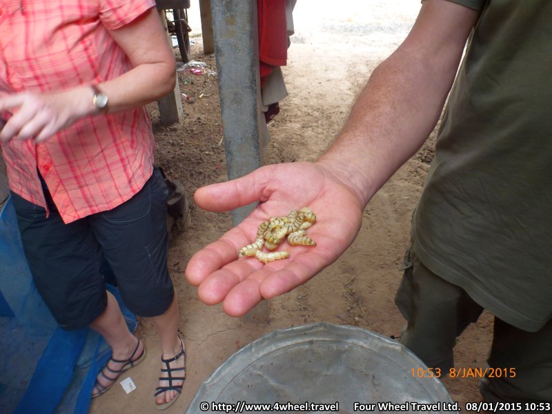 4x4Reisen Expedition, Expeditionstourismus, Jeep Safari durch den Isaan entlang dem Mekong , 4x4 Offroad Adventure Gel&auml;ndewagenreisen und Gel&auml;ndewagentouren in S&uuml;dostasien, Abenteuer in Asien, Thailand, Laos, Kambodscha f&uuml;r Selbstfaher von Berlin nach Bangkok 1768874751  Mekong Issan Isan Isaan Reisen Jeep Safari Thailand Jeep Safari Isan Reisen Erwan Reisen Luxus Reisen Privat Reisen 4x4 Reisen Four Wheel Travel  Uwe Richter