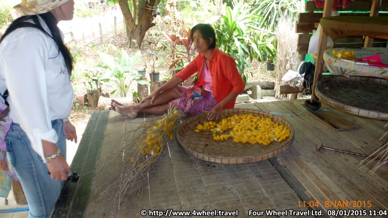 4x4Reisen Expedition, Expeditionstourismus, Jeep Safari durch den Isaan entlang dem Mekong Autorundreisen Suedostasien , 4x4 Offroad Adventure Gel&auml;ndewagenreisen und Gel&auml;ndewagentouren in S&uuml;dostasien, Abenteuer in Asien, Thailand, Laos, Kambodscha f&uuml;r Selbstfaher von Berlin nach Bangkok 1770987532  Mekong Issan Isan Isaan Reisen Jeep Safari Thailand Jeep Safari Isan Reisen Erwan Reisen Luxus Reisen Privat Reisen 4x4 Reisen Four Wheel Travel  Uwe Richter