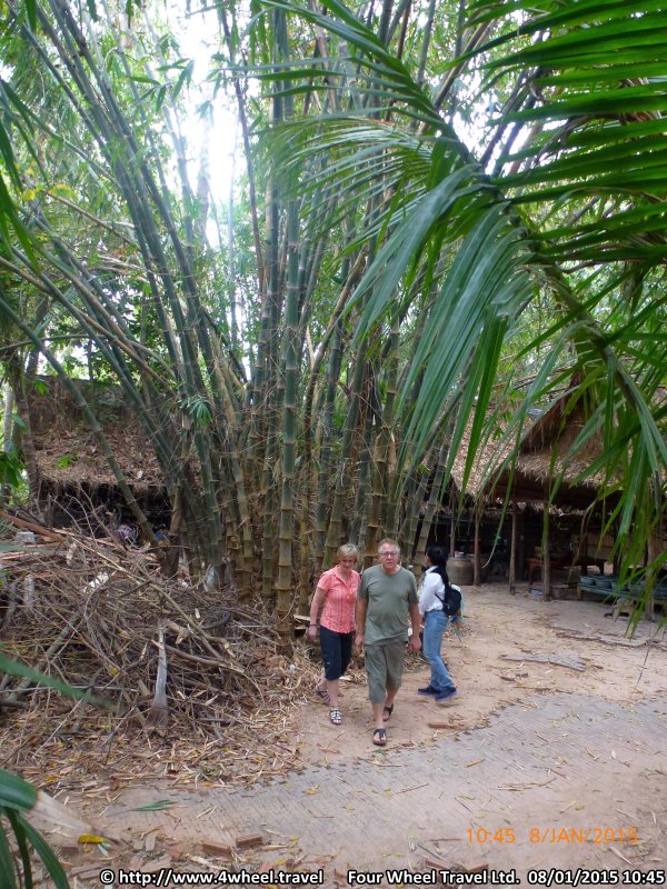 4x4Reisen Expedition, Expeditionstourismus, Dschungel Jeep Safari Umfangreiche Isaan Tour entlang dem Mekong  , 4x4 Offroad Adventure Gel&auml;ndewagenreisen und Gel&auml;ndewagentouren in S&uuml;dostasien, Abenteuer in Asien, Thailand, Laos, Kambodscha f&uuml;r Selbstfaher von Berlin nach Bangkok 1772844057  Mekong Issan Isan Isaan Reisen Jeep Safari Thailand Jeep Safari Isan Reisen Erwan Reisen Luxus Reisen Privat Reisen 4x4 Reisen Four Wheel Travel  Uwe Richter