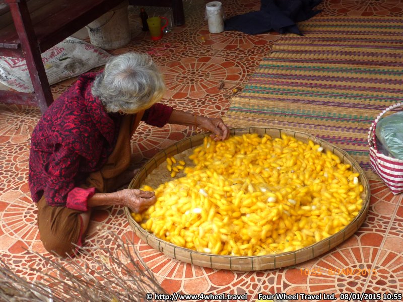 4x4Reisen Expedition, Expeditionstourismus, Dschungel Jeep Safari Umfangreiche Isaan Tour entlang dem Mekong  Autorundreisen Suedostasien , 4x4 Offroad Adventure Geländewagenreisen und Geländewagentouren in Südostasien, Abenteuer in Asien, Thailand, Laos, Kambodscha für Selbstfaher von Berlin nach Bangkok 1764970498  Mekong Issan Isan Isaan Reisen Jeep Safari Thailand Jeep Safari Isan Reisen Erwan Reisen Luxus Reisen Privat Reisen 4x4 Reisen Four Wheel Travel  Uwe Richter