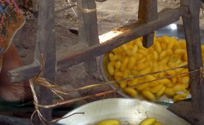 4x4Reisen Expedition, Expeditionstourismus, Dschungel Jeep Safari Umfangreiche Isaan Tour entlang dem Mekong  Autorundreisen Suedostasien , 4x4 Offroad Adventure Geländewagenreisen und Geländewagentouren in Südostasien, Abenteuer in Asien, Thailand, Laos, Kambodscha für Selbstfaher von Berlin nach Bangkok 1764970498  Mekong Issan Isan Isaan Reisen Jeep Safari Thailand Jeep Safari Isan Reisen Erwan Reisen Luxus Reisen Privat Reisen 4x4 Reisen Four Wheel Travel  Uwe Richter