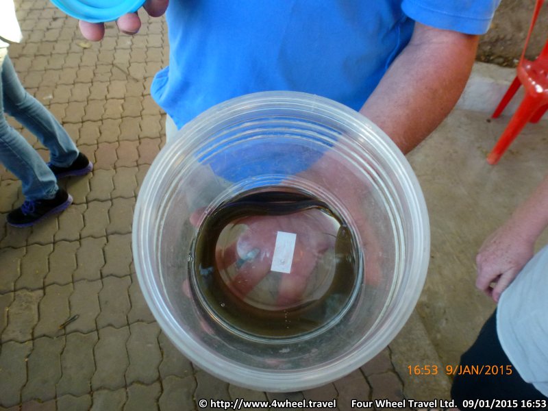 4x4Reisen Expedition, Expeditionstourismus, Dschungel Jeep Safari Umfangreiche Isaan Tour entlang dem Mekong  , 4x4 Offroad Adventure Gel&auml;ndewagenreisen und Gel&auml;ndewagentouren in S&uuml;dostasien, Abenteuer in Asien, Thailand, Laos, Kambodscha f&uuml;r Selbstfaher von Berlin nach Bangkok 1768875942  Mekong Issan Isan Isaan Reisen Jeep Safari Thailand Jeep Safari Isan Reisen Erwan Reisen Luxus Reisen Privat Reisen 4x4 Reisen Four Wheel Travel  Uwe Richter