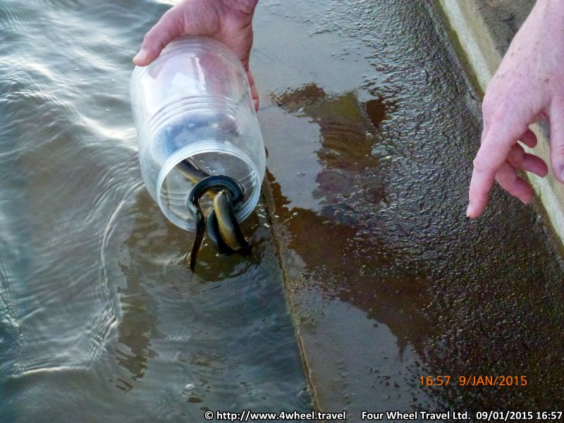 4x4Reisen Expedition, Expeditionstourismus, Dschungel Jeep Safari Umfangreiche Isaan Tour entlang dem Mekong  , 4x4 Offroad Adventure Gel&auml;ndewagenreisen und Gel&auml;ndewagentouren in S&uuml;dostasien, Abenteuer in Asien, Thailand, Laos, Kambodscha f&uuml;r Selbstfaher von Berlin nach Bangkok 1776767090  Mekong Issan Isan Isaan Reisen Jeep Safari Thailand Jeep Safari Isan Reisen Erwan Reisen Luxus Reisen Privat Reisen 4x4 Reisen Four Wheel Travel  Uwe Richter